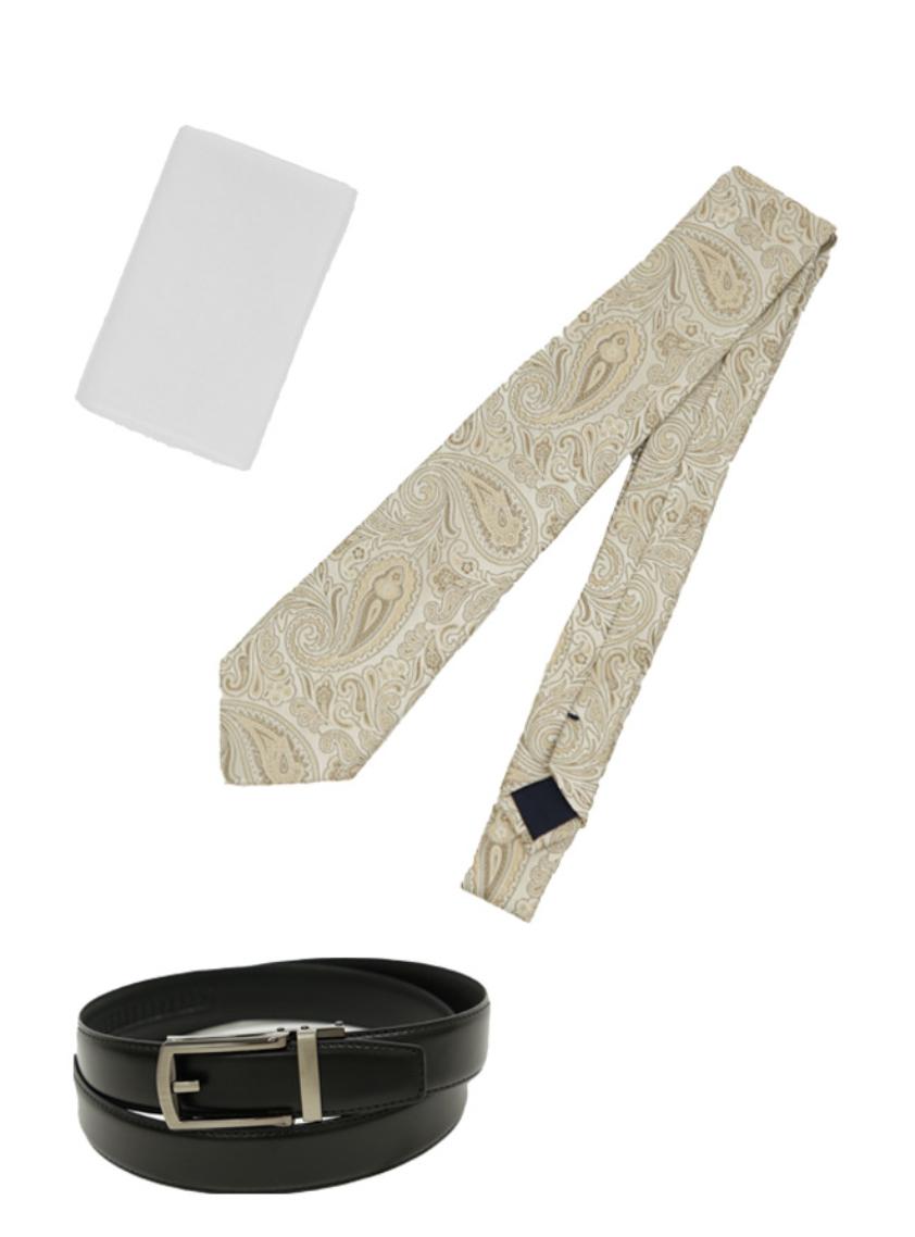 【小物セット】メンズパーティースーツ用ペイズリー柄（ベージュ）ネクタイ の画像1