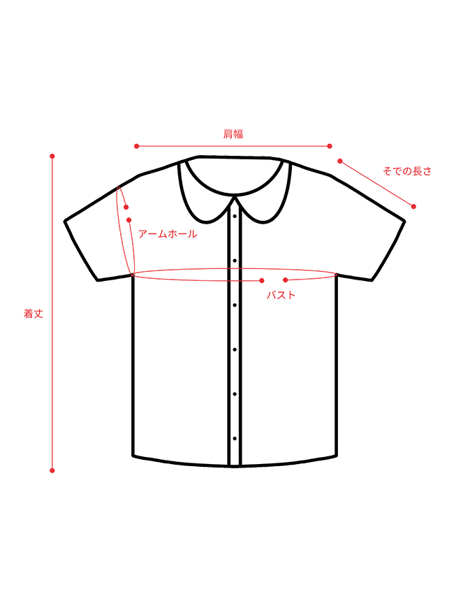 AIMER】3Dフラワー刺繍ボリュームスリーブブラウス×フィット＆フレア